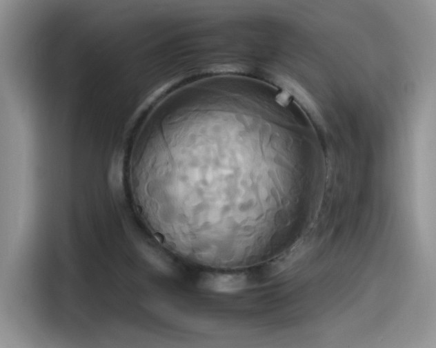 X0000115560155200911061600
