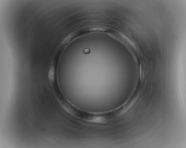 X0000115560157200911061600