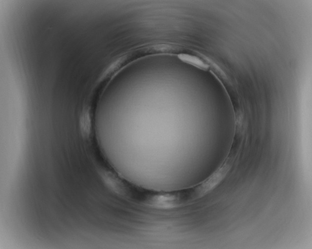 X0000115560158200911061600