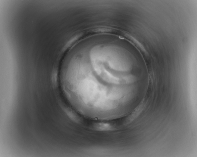X0000115560159200911061600