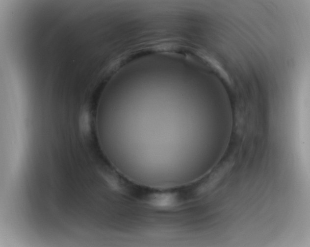 X0000115560161200911061600