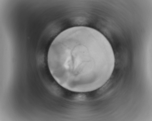 X0000115560162200911061600