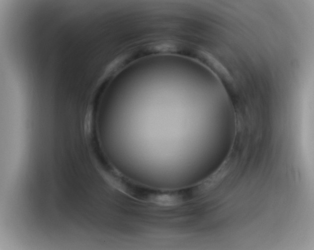 X0000115560163200911061600
