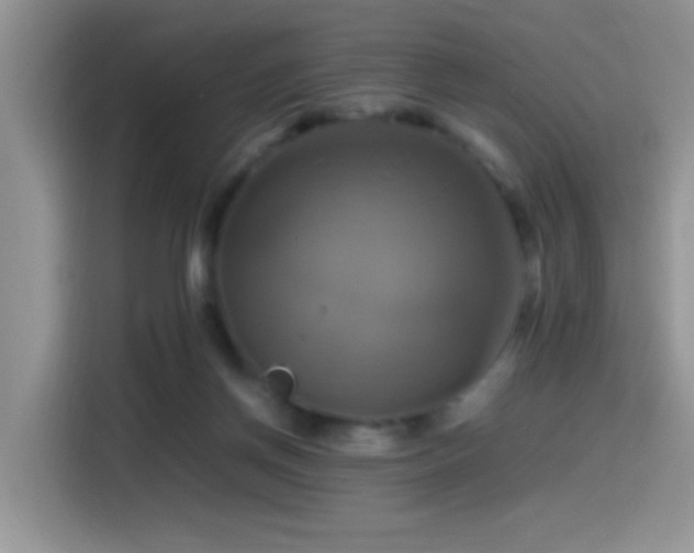 X0000115560166200911061600