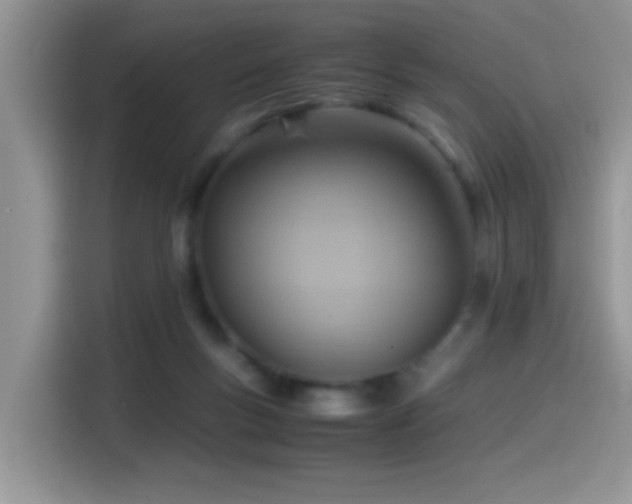 X0000115560167200911061600