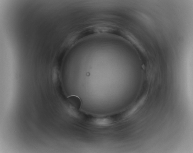X0000115560169200911061600