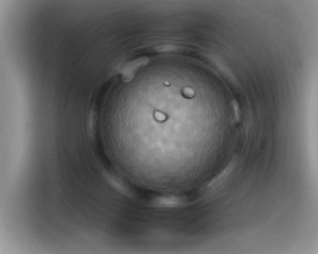X0000115560171200911061600