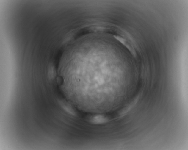 X0000115560173200911061600
