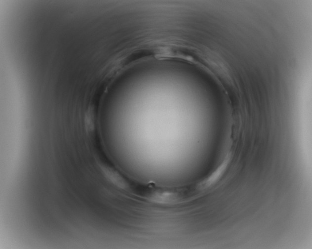 X0000115560174200911061600