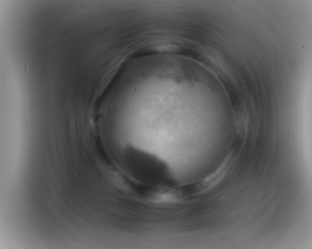 X0000115560175200911061600