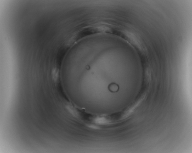 X0000115560177200911061600