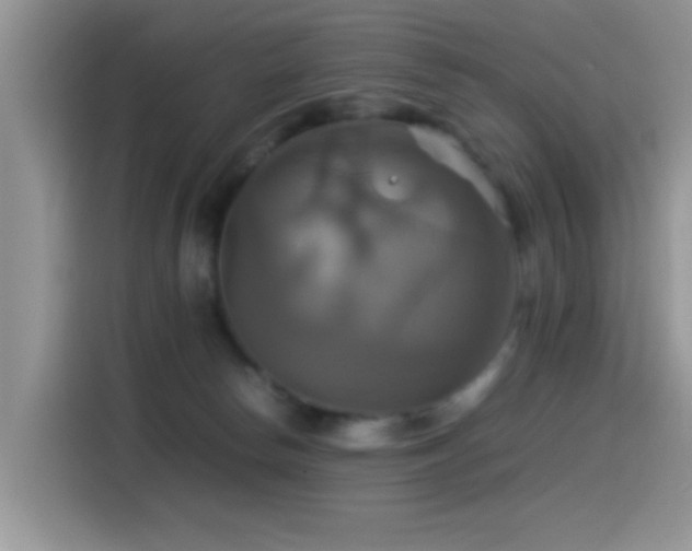 X0000115560178200911061600