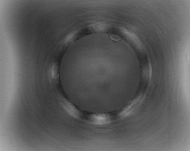 X0000115560181200911061600