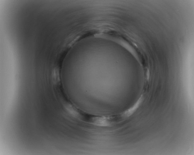 X0000115560182200911061600