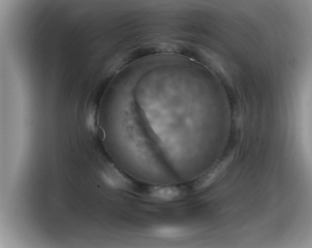 X0000115560185200911061600