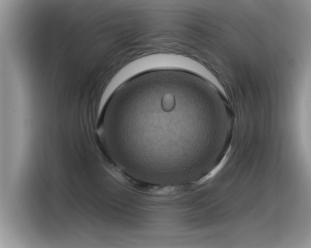 X0000115560186200911061600