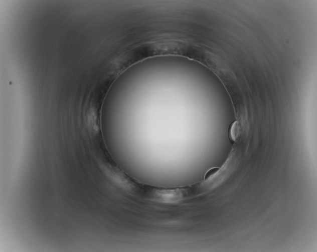 X0000115560187200911061600