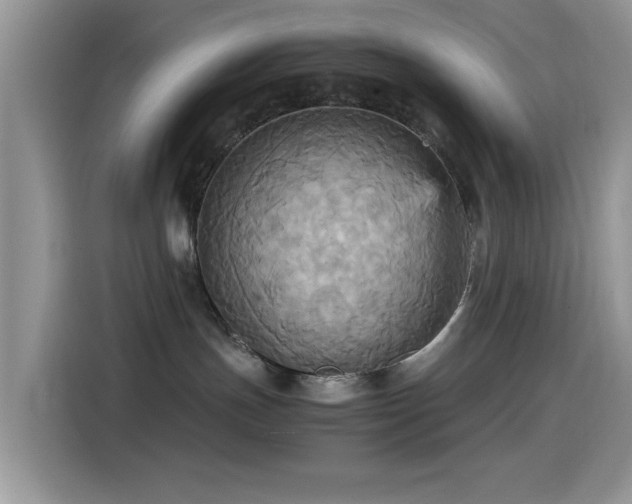 X0000115560191200911061600