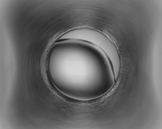 X0000115560193200911061600