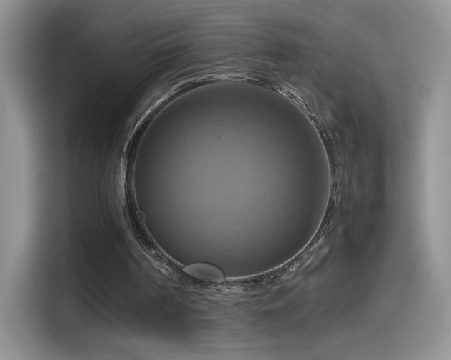 X0000115560194200911061600