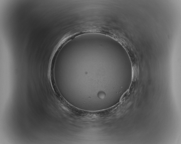 X0000115560195200911061600