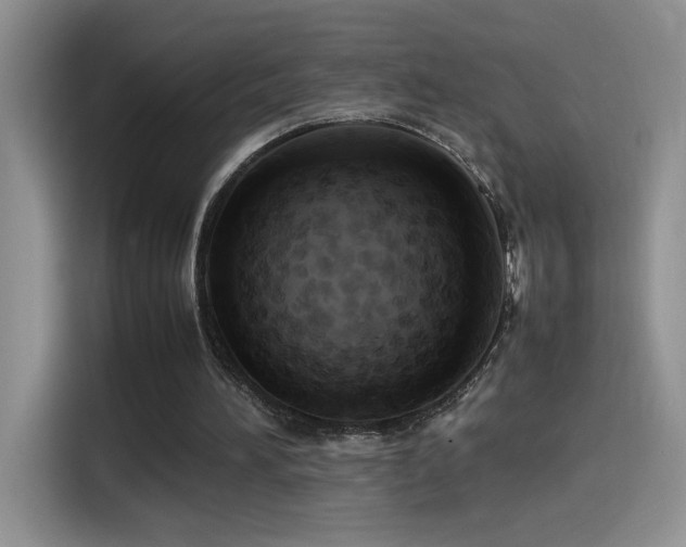 X0000115560196200911061600