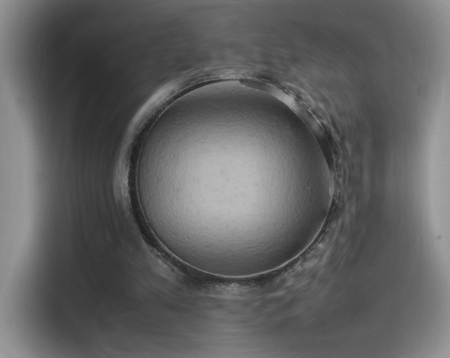 X0000115560197200911061600