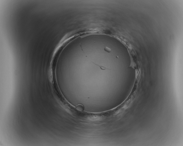 X0000115560198200911061600