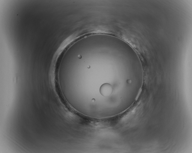 X0000115560199200911061600