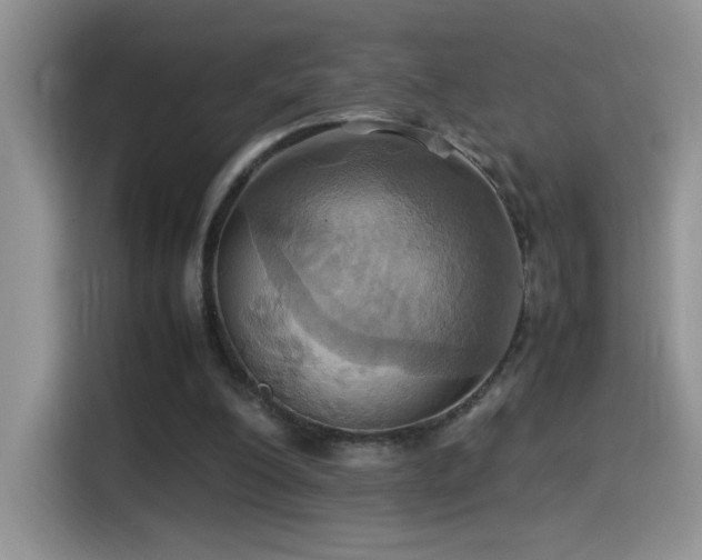 X0000115560200200911061600