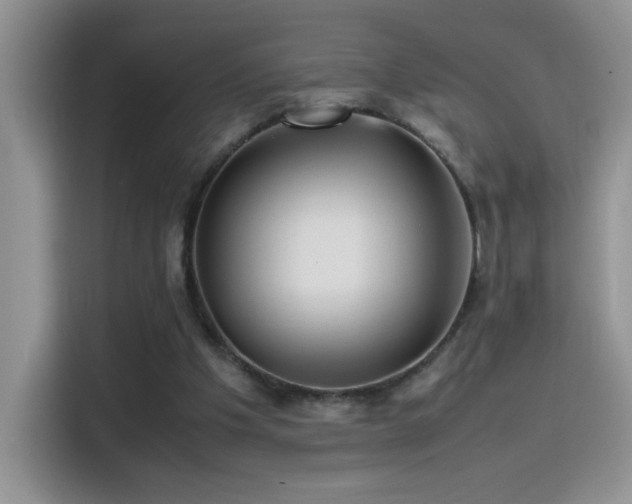 X0000115560201200911061600