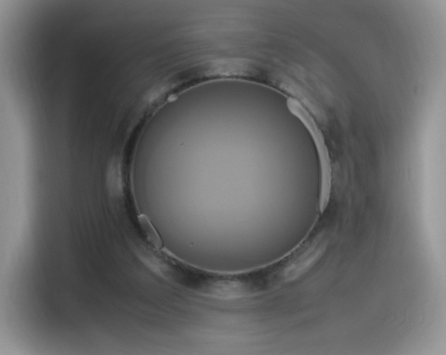 X0000115560203200911061600