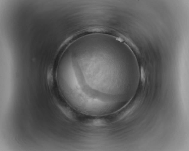 X0000115560204200911061600