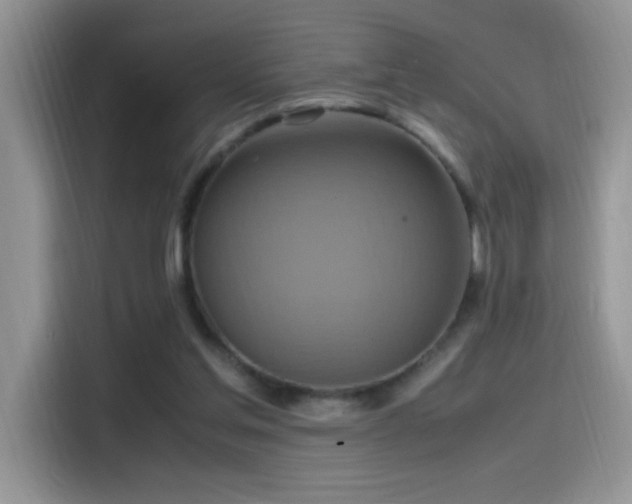X0000115560205200911061600