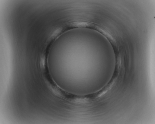 X0000115560206200911061600