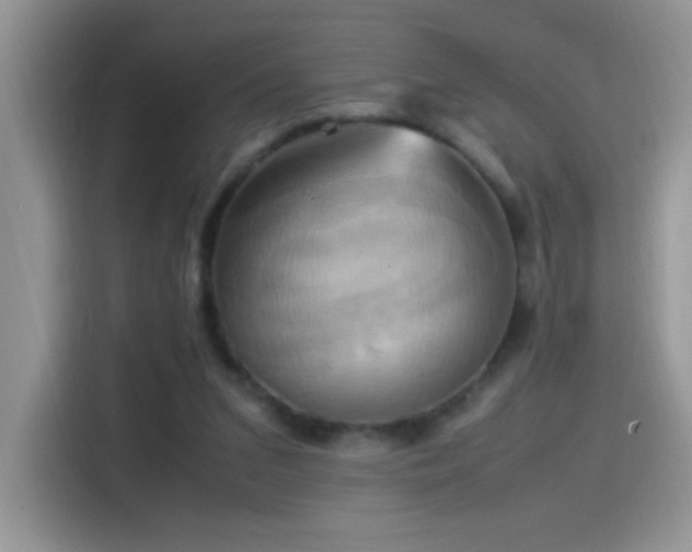 X0000115560207200911061600