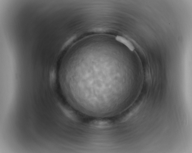 X0000115560208200911061600