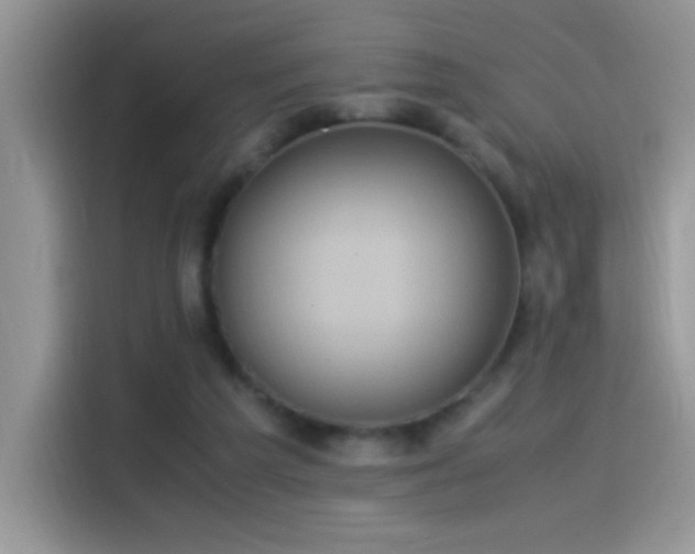 X0000115560209200911061600