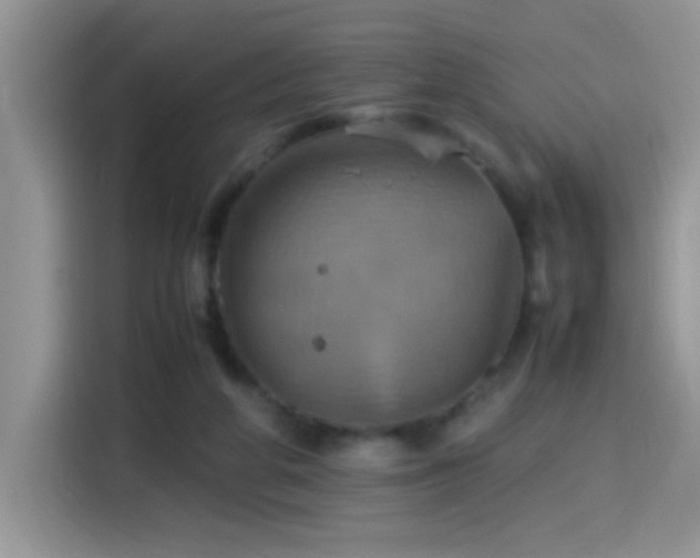 X0000115560210200911061600