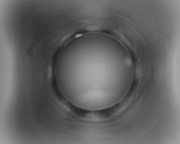 X0000115560211200911061559