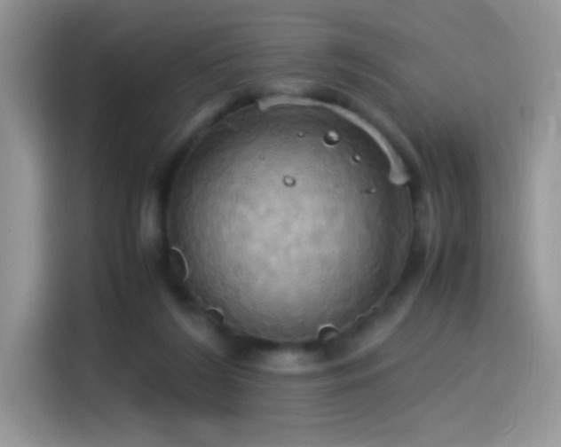 X0000115560212200911061559