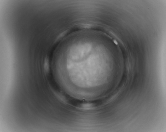 X0000115560216200911061559