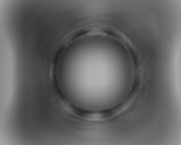 X0000115560217200911061559
