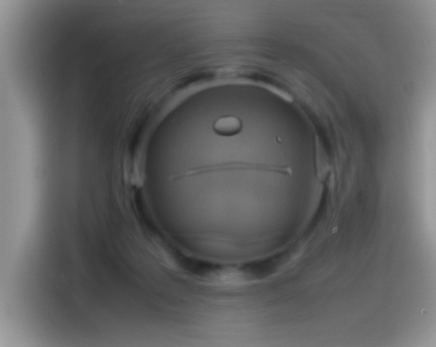 X0000115560219200911061559