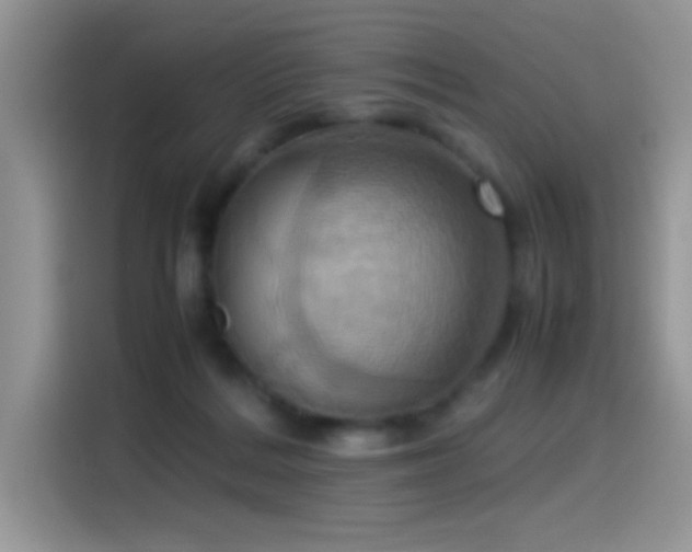 X0000115560220200911061559