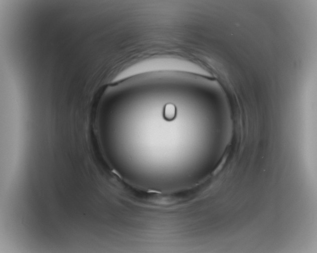 X0000115560221200911061559