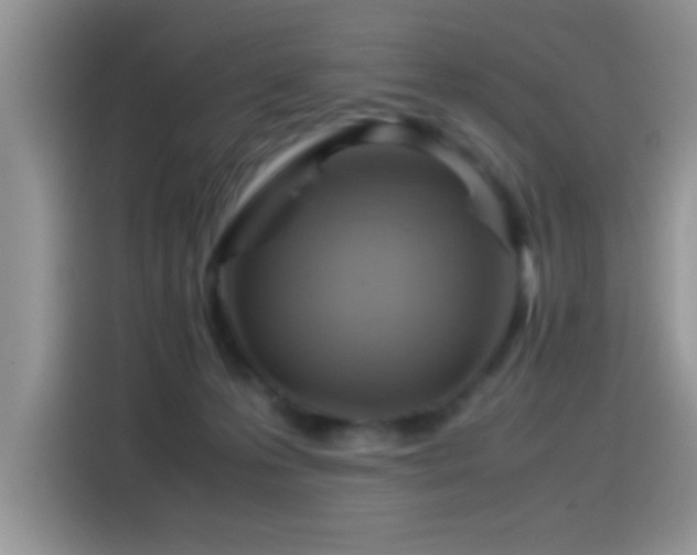 X0000115560223200911061559