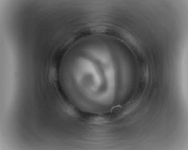 X0000115560224200911061559