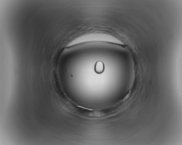 X0000115560225200911061559