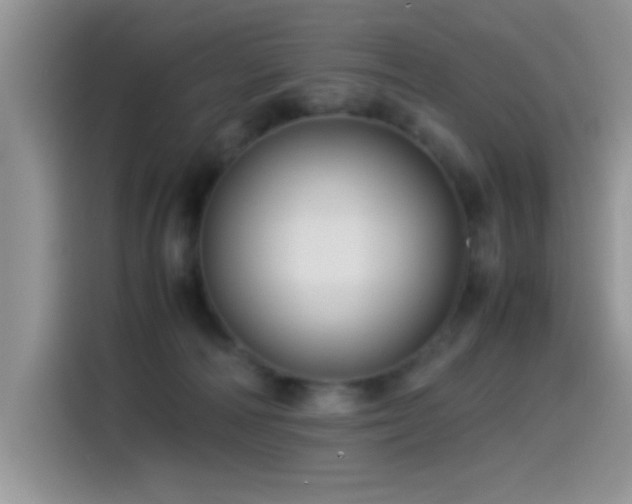 X0000115560226200911061559